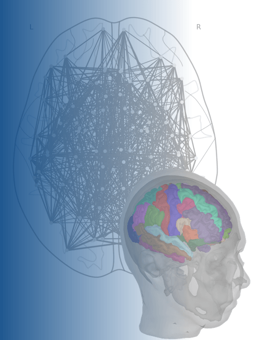 Réseau de connexions cérébrales et modèle 3D du cerveau